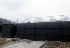 开云在线登录官网